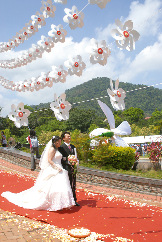 Wedding under blossoming Tung trees