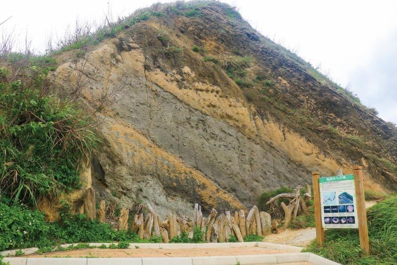 Guogang Shell Fossils