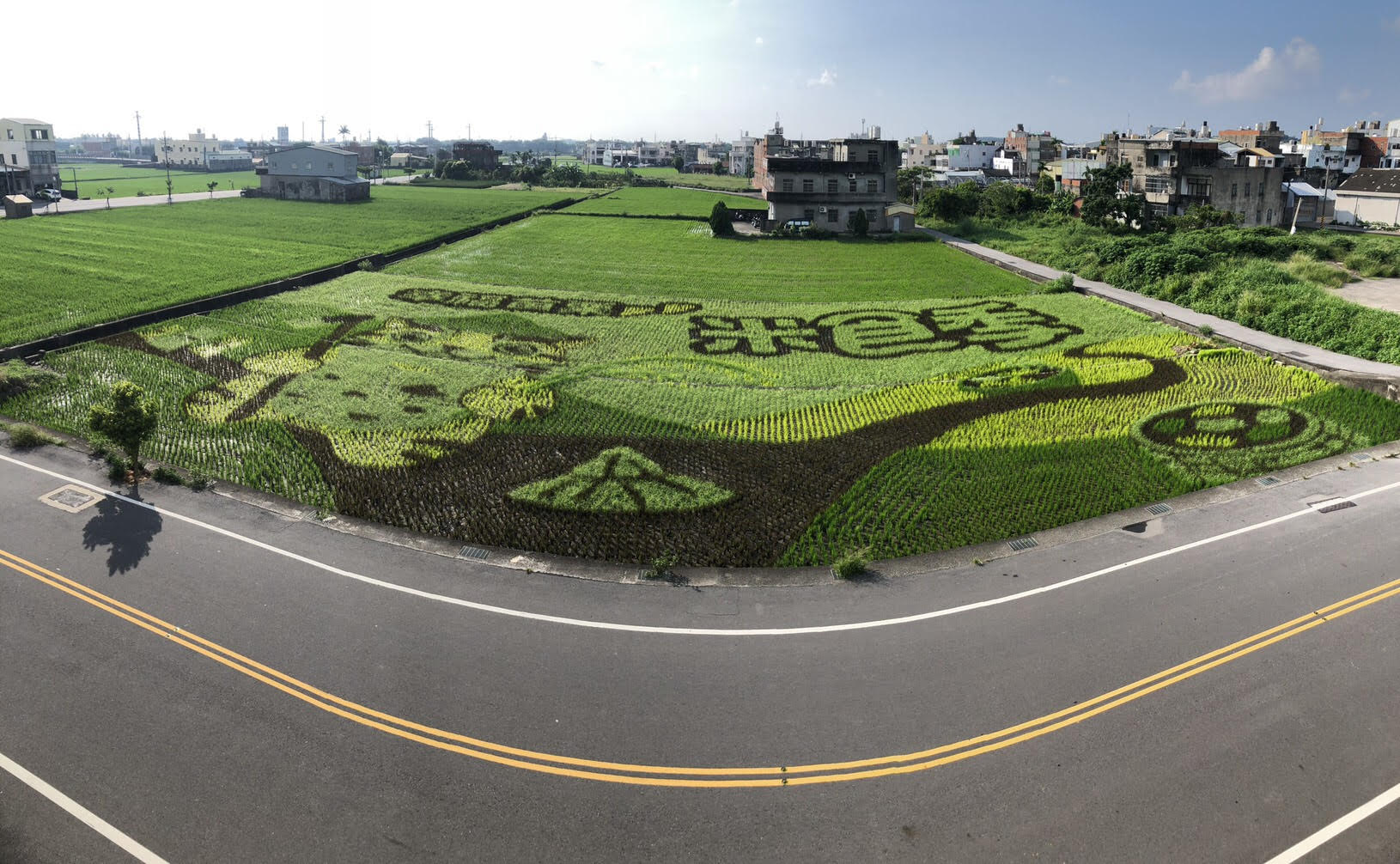 苗栗縣苑裡鎮的稻田彩繪於8月23日正式亮相！今年二期作主題為「幸福苗栗 米食季」