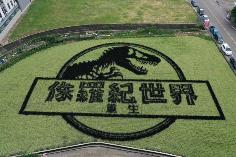 稻秧勾勒出電影經典LOGO與恐龍圖騰