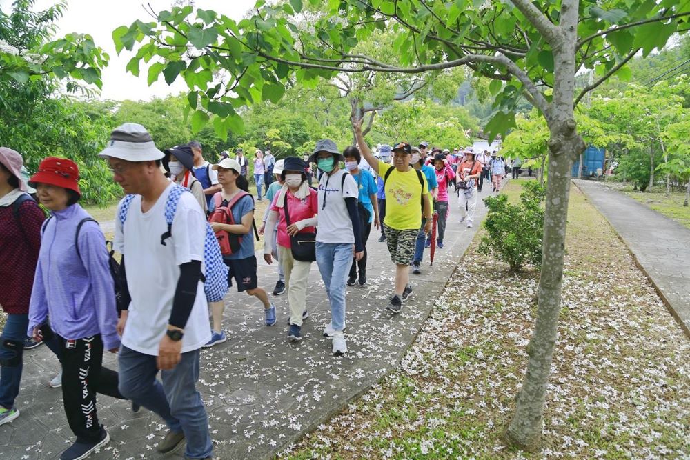 2025桐花祭苗栗市貓裏桐花健行
