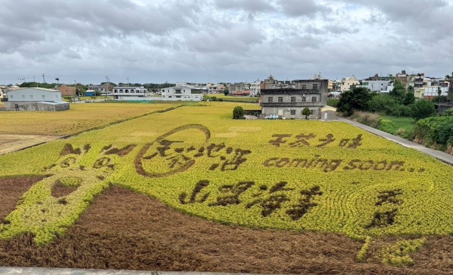 苑裡鎮農會從農業推廣逐漸發展綠色旅遊,每年的彩繪稻田更是吸引大批遊客前來。