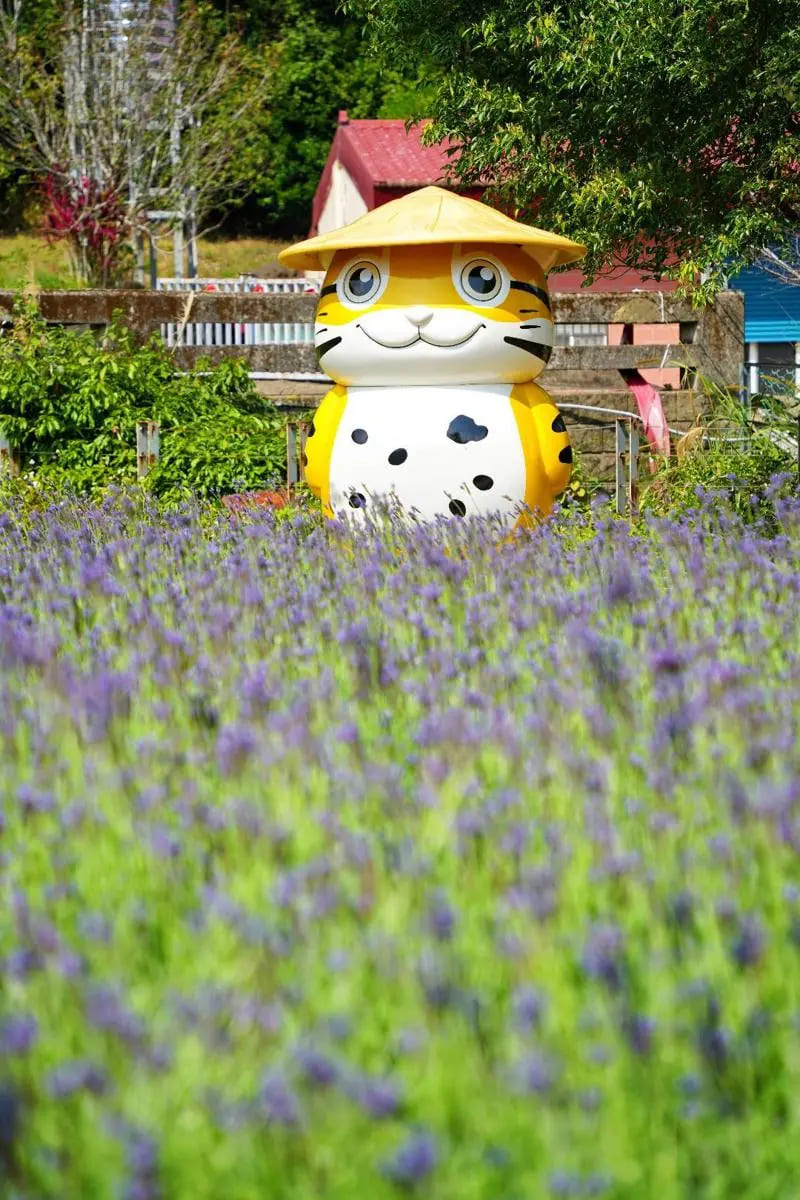 巨型貓咪裝置藝術