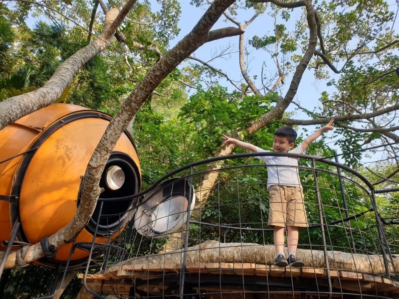 擅長利用回收物料進行創作的藝術家陳建智，在森林內的微型聚落中打造一座「2020森林方舟」，成為山林間的科學秘密基地。