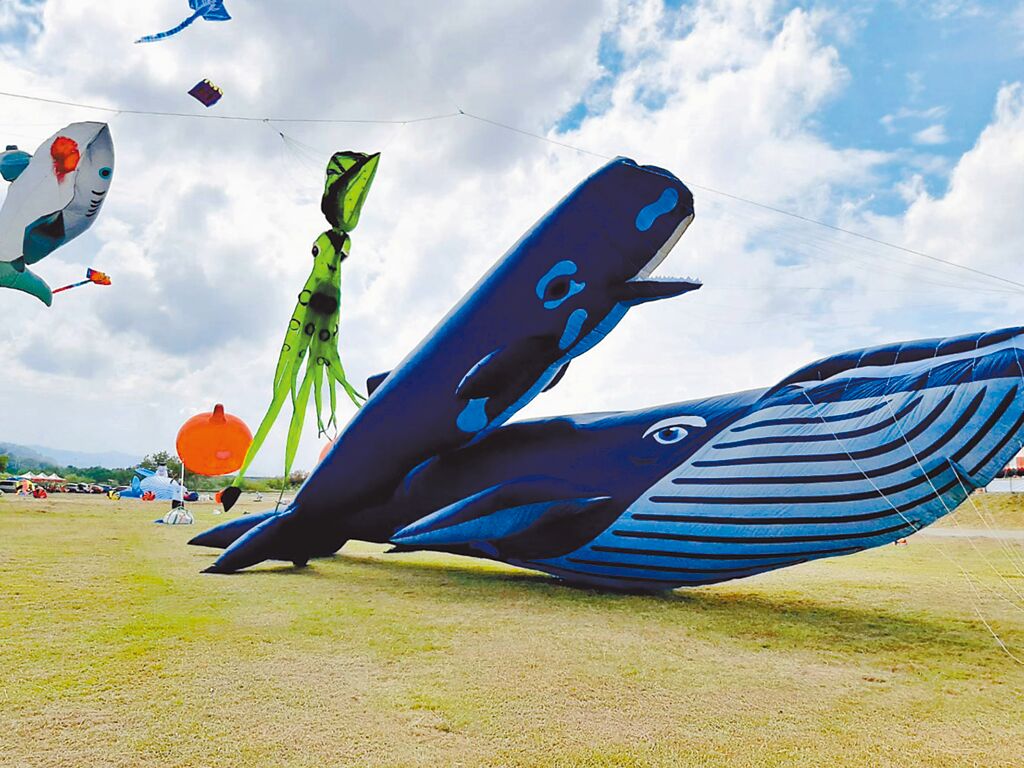 苗栗市風箏節22日登場，現場有各式造型大型風箏