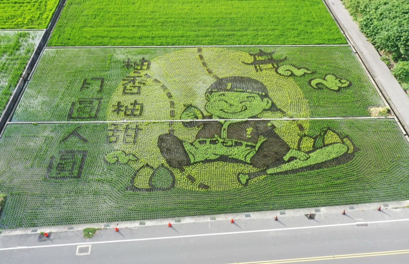 Yuanli Farmers’ Association celebrates Mid-moon Festival with decorative rice fields 