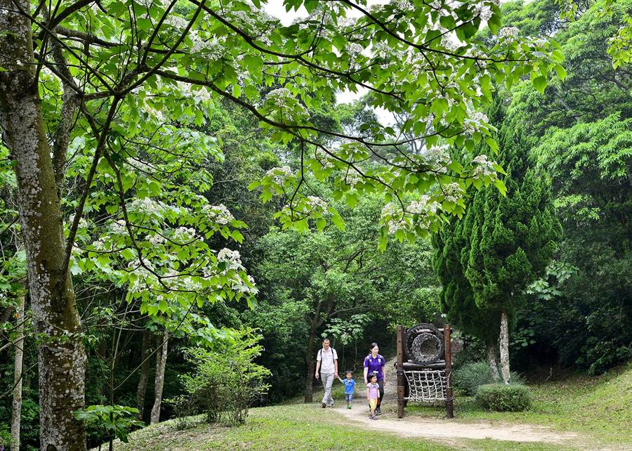 Sanyi where the resort is located is the most famous for attractive scenes of dancing fireflies and romantic white Tung flowers.