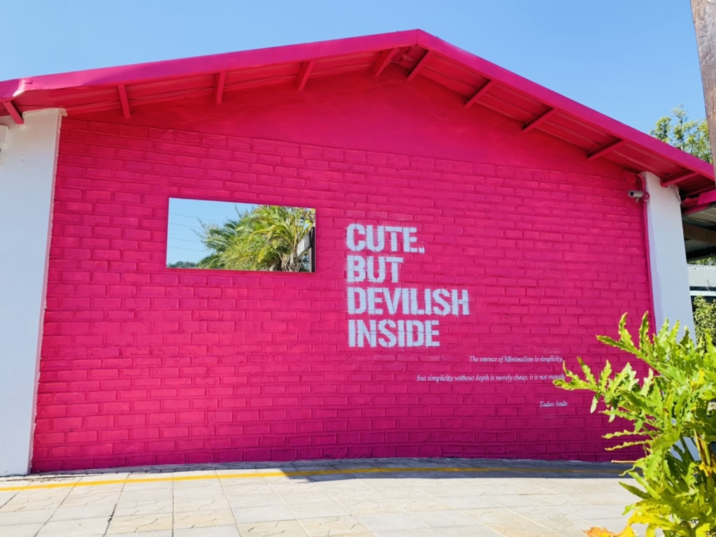 設計一整面粉紅牆，韓風又色彩鮮豔的牆面